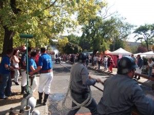 314032_221626274564541_1113980580_n