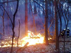 303348_319893184737849_488677075_n