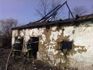 431873_319894171404417_78930620_n