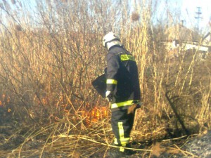 574508_147225218748741_676821665_n