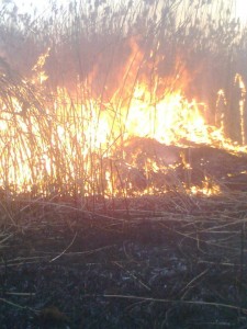 383836_147225258748737_867637608_n