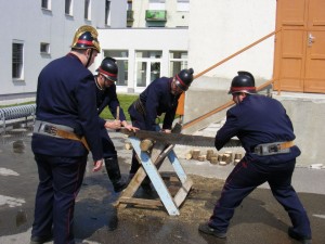 311016_509000489160450_880348156_n