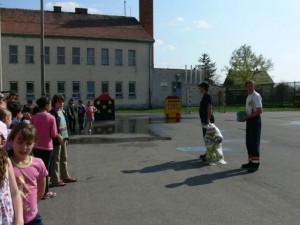 385906_138323316352024_554151405_n