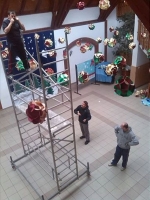 1501893_684156944950779_688199839_n