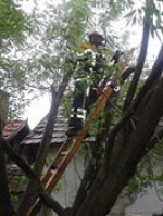 10363443_659171557464574_1507619118_n