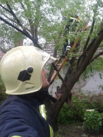 10374392_659171607464569_745763342_n