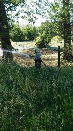 10171877_639416559483204_1757775067750021816_n