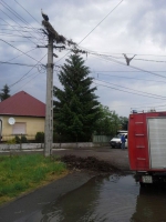 10173738_697358156991291_838548263199927217_n