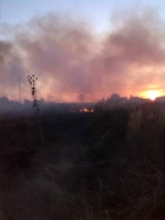 10391017_715099878550452_1077571051960615048_n