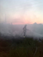 10511224_715100045217102_3646264717204054268_n