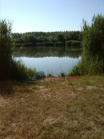 10352928_715096588550781_708183142560361830_n