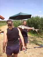 1513653_715096848550755_6691944262301697692_n