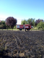 10609170_702843283097401_46258566_n