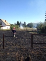 10617353_702843903097339_182793970_n