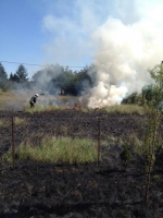 10621969_702843363097393_1234023930_n