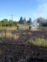 10622118_702843616430701_475631484_n